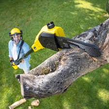 Best Grass Overseeding  in Harriman, NY